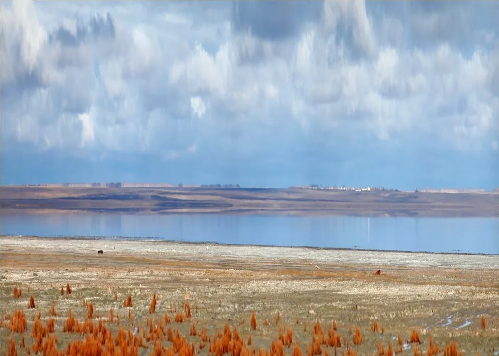 Озеро эбейты омская. Озеро Эбейты Омская область. Соленое озеро в Омской области Эбейты. Озеро эйбйти Омская область. Озеро Эбейты Москаленский район.