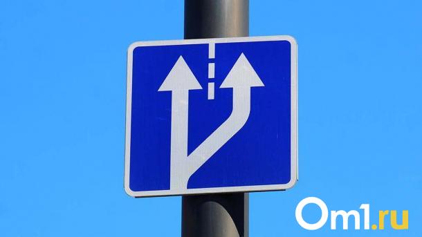 В Омске ветер сбил дорожный знак на крышу машины