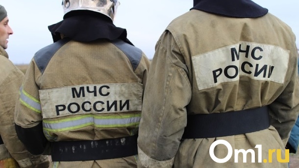 В первую неделю года на пожарах погибло 5 омичей