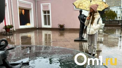 В Омскую область возвращаются дожди и похолодание