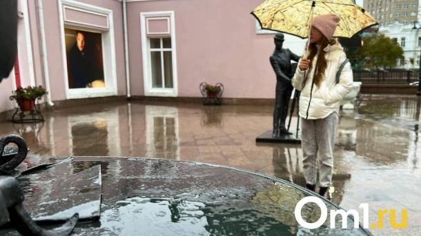 В Омскую область возвращаются дожди и похолодание