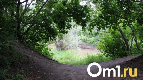 Опубликованы предварительные данные о смерти в Омске девочки из Москвы