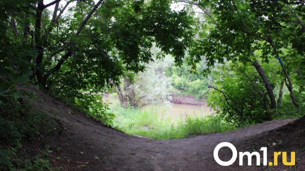 Опубликованы предварительные данные о смерти в Омске девочки из Москвы