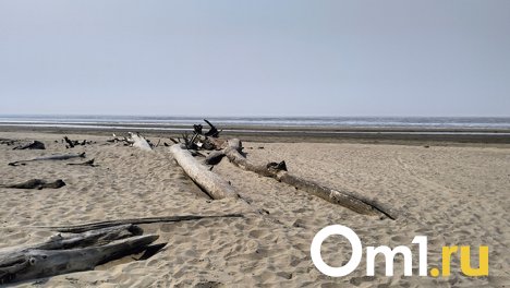 Ещё одно землетрясение произошло под Новосибирском — магнитуда составила 2,7