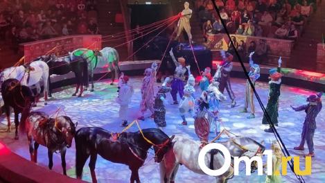 Омичи скоро не смогут увидеть животных в цирке