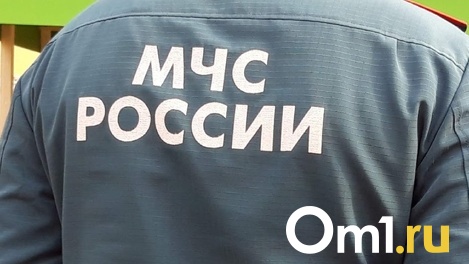Мошенники вымогают деньги у новосибирцев под видом сотрудников МЧС