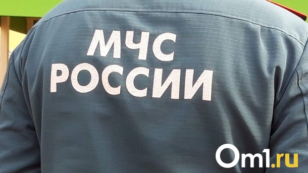 Мошенники вымогают деньги у новосибирцев под видом сотрудников МЧС