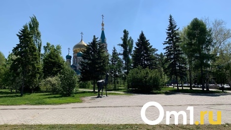 Омские парки и скверы повторно обработают отравой против клещей