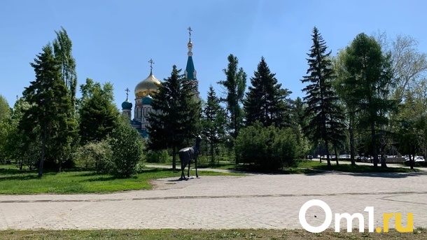 Омские парки и скверы повторно обработают отравой против клещей