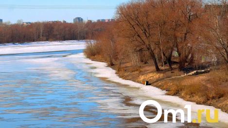В Омске на тонком льду реки в центре города заметили детей