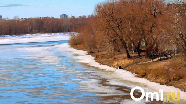 В Омске на тонком льду реки в центре города заметили детей