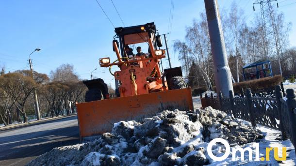 Омску не хватает 200 единиц техники, чтобы убирать снег
