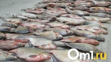 В Омской области двое мужчин наловили краснокнижных рыб на 2 миллиона