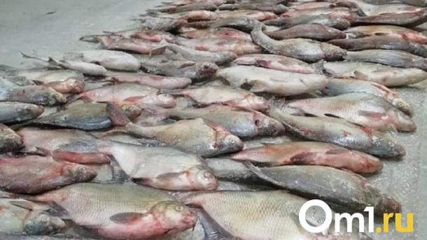 В Омской области двое мужчин наловили краснокнижных рыб на 2 миллиона