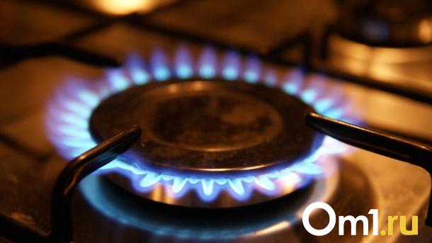 Имущество банкротящегося «Омскгоргаза» оценили в 170 миллионов рублей