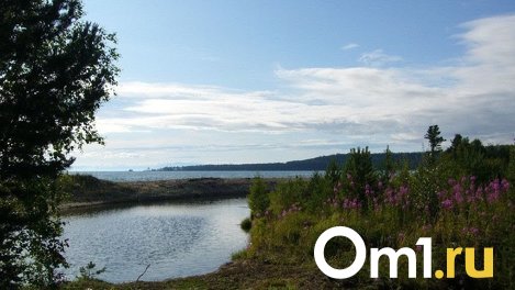 В Омской области утонули два подростка – мальчик и девочка из многодетной семьи