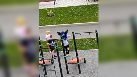 Толпа закидала девочек-квадроберов кошачьим кормом в Новосибирске