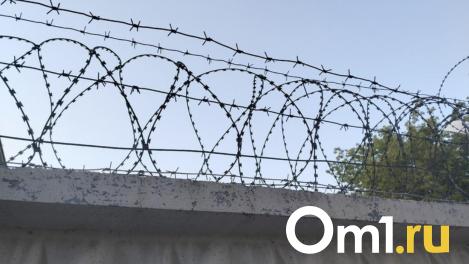 Женщина покупала наркотики для сбыта в Новосибирске и попала в тюрьму на девять лет