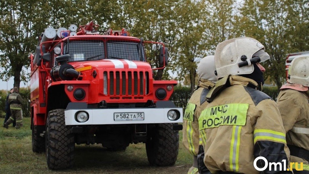 Высокую пожарную опасность прогнозируют в трёх районах Омской области на выходных