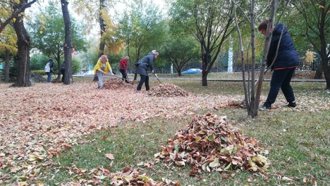 Сергей Шелест рассказал, как прошёл общегородской субботник в Омске