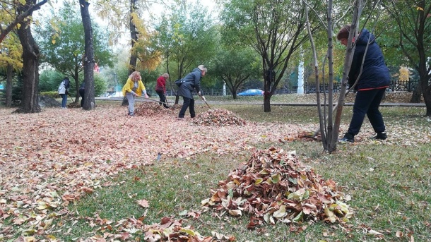Сергей Шелест рассказал, как прошёл общегородской субботник в Омске