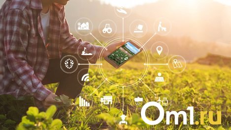 125 агропредприятий Омской области развивают бизнес на платформе Своё Фермерство