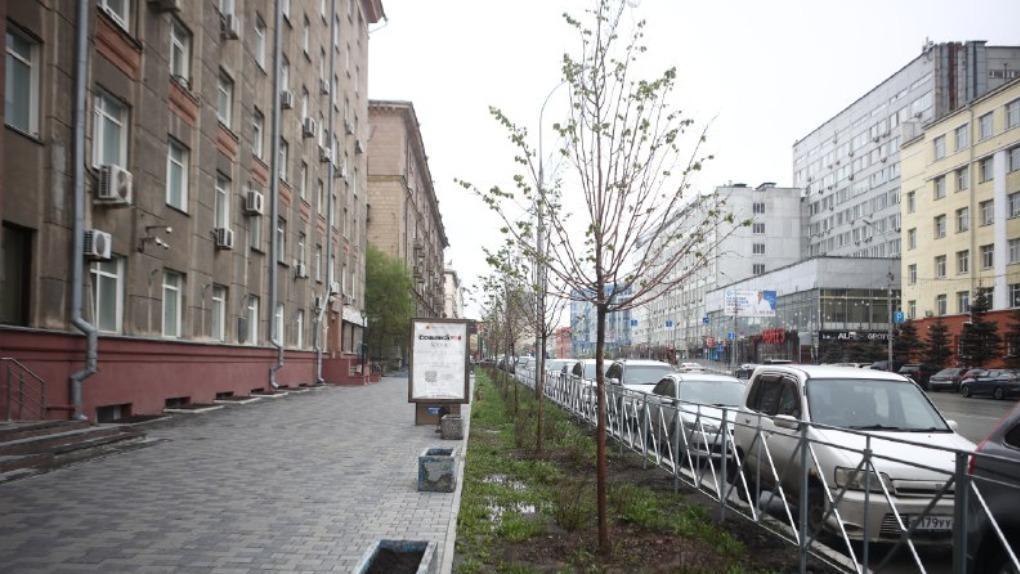 Обустройство липовой аллеи завершили в Новосибирске