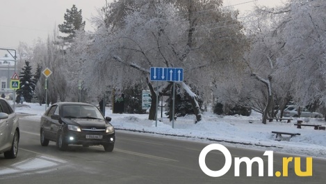 Белый, чёрный и тёмно-зеленый: омичи могут купить машины «АвтоВАЗа» только в трёх цветах