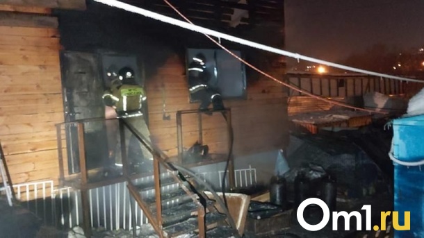 «Ему было жаль собак»: экс-работника обвиняют в поджоге приюта в Новосибирске