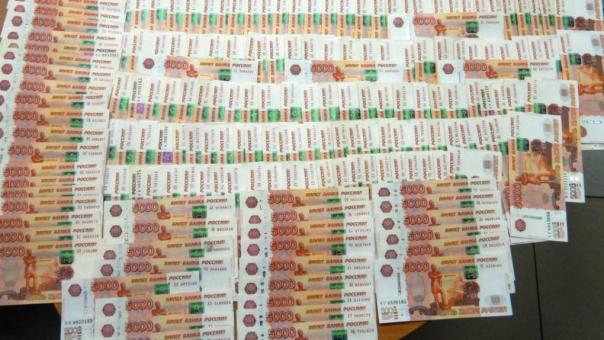 Новосибирец пытался незаконно вывезти в Дубай 1,2 млн рублей — деньги обнаружил спаниель
