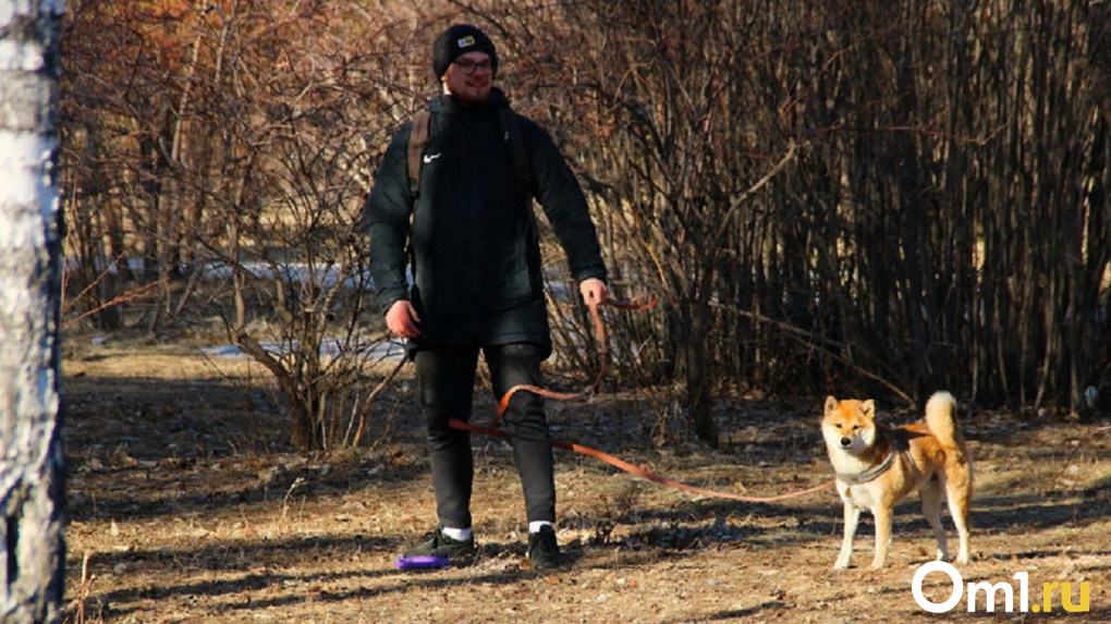 Топ заведений dog-friendly: куда в Омске пускают с собакой?