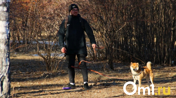 Топ заведений dog-friendly: куда в Омске пускают с собакой?
