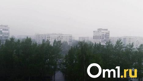 В Омске зафиксировали превышение концентрации этилбензола в воздухе
