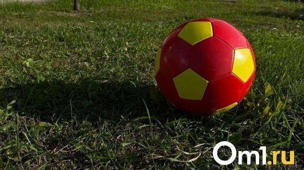 В Омске ликвидировали футбольную академию испанца Альберто Риеры