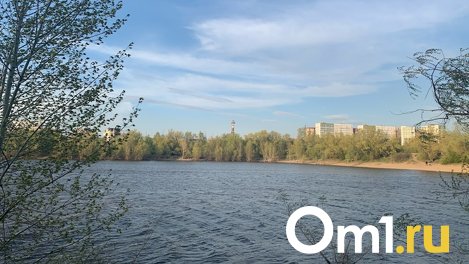 В Омске на окраине города утонул молодой парень