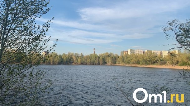 В Омске на окраине города утонул молодой парень