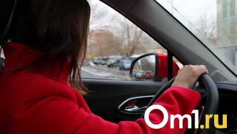 «Открытие Авто»: индийские автоконцерны могут закрепиться на отечественном авторынке в бюджетном сегменте
