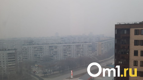 Опасный воздух. Уровень загрязнения атмосферы в Новосибирске достиг 10 баллов