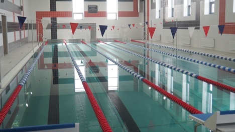 В Омске вырубят 209 деревьев ради строительства бассейна на Московке и высадят взамен 627