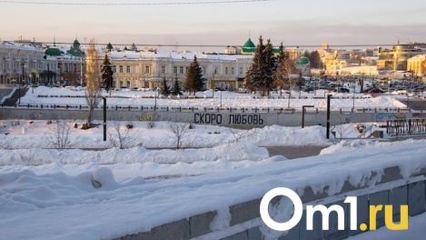 В День защитника Отечества Омск накроет снег с дождём