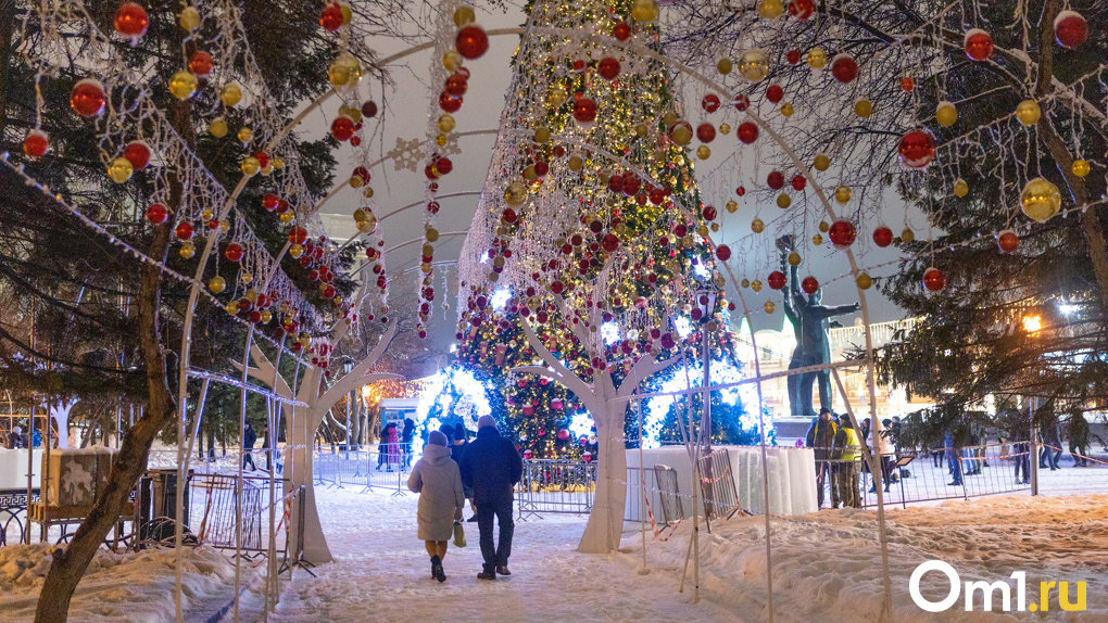 Оттепель и снег с дождём: какие сюрпризы приготовила новосибирцам погода на новогодних праздниках