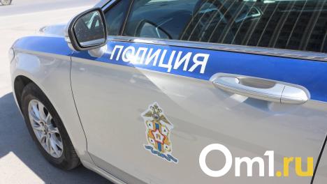В Омской области водитель сбил насмерть пешехода и скрылся
