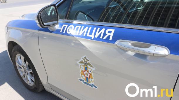В Омской области водитель сбил насмерть пешехода и скрылся