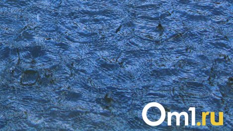 Треть омичей мечтает о бассейне в офисе