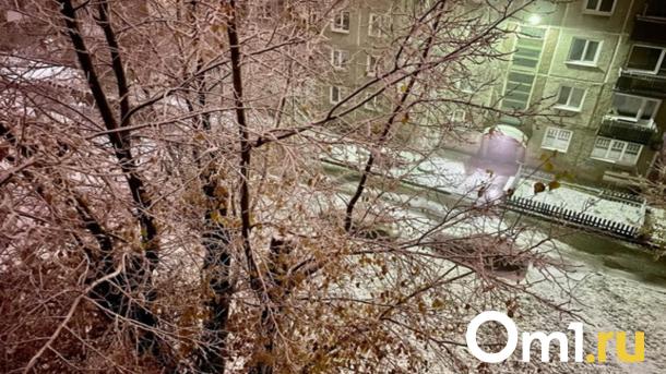 В Омске побит температурный рекорд полувековой давности