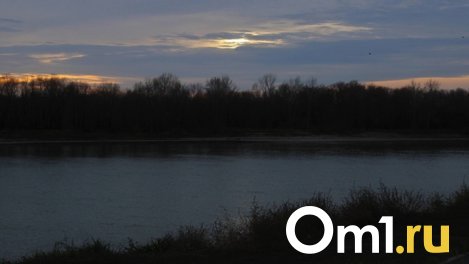 Омский рыбак выловил чебака с присосавшейся морской миногой