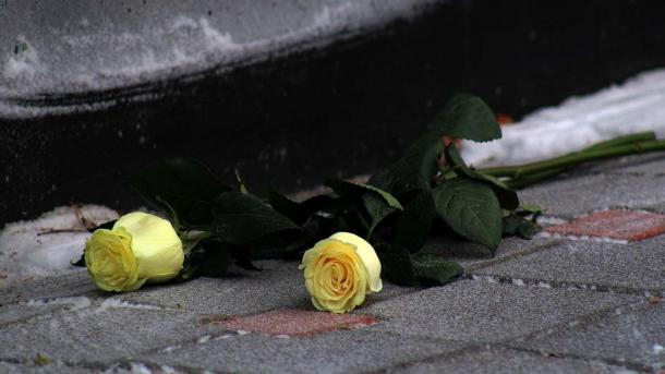 Скамейка памяти: как смерть хозяина лабрадоров объединила новосибирцев