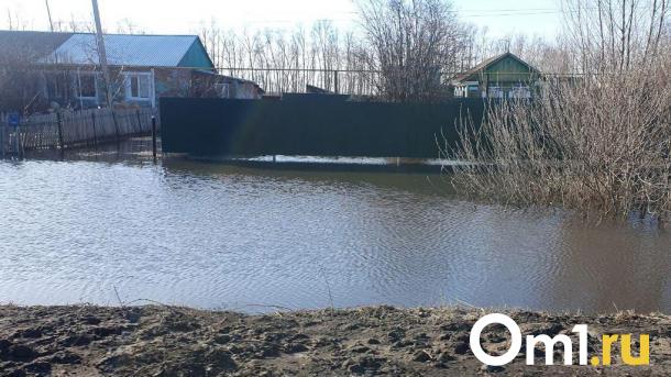 Почему в Усть-Ишиме действует режим ЧС? Объясняет МЧС