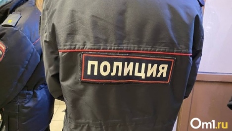 Уронили на землю, били, плевали в лицо: в МВД прокомментировали жестокое избиение новосибирской школьницы