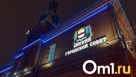 Омский городской совет пополнится третьим вице-спикером